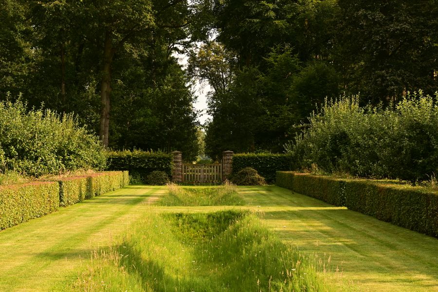 Finished garden with mown grass paths, clipped hedges and mature planting