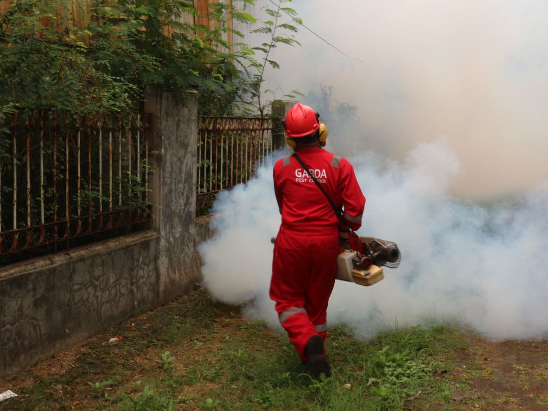 Rear view of a pest-control worker treating an outdoor area with a fogging machine