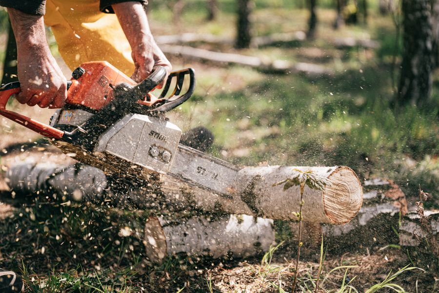 Hands using a chainsaw to cut a felled tree trunk outdoors